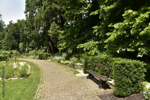 Fototapeta Naklejka Na Ścianę i Meble -  Endroit reposant à la roseraie du parc de Mariemont à Morlanwelz 