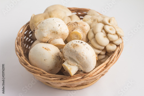 Various kinds of Mushroom. Champignon and Shimeji into a basket