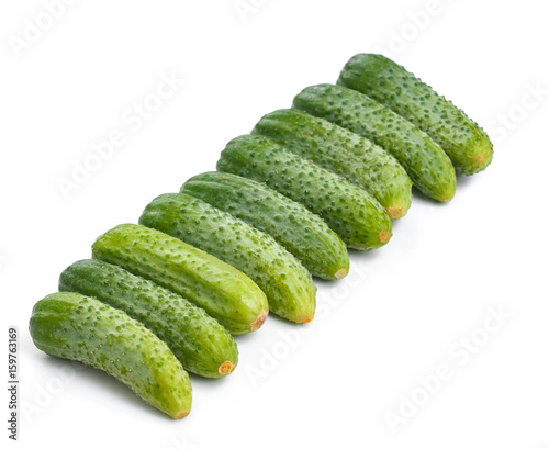 fresh cucumbers for salad and preservation isolated on white background