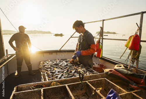 Two fishermen working on boat photo