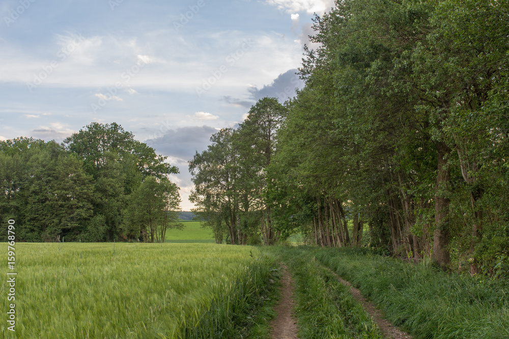 country road