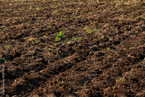 Plowed field use as background