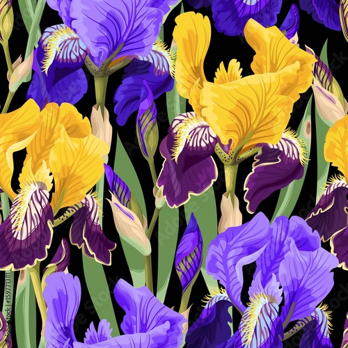 Floral pattern with iris flowers