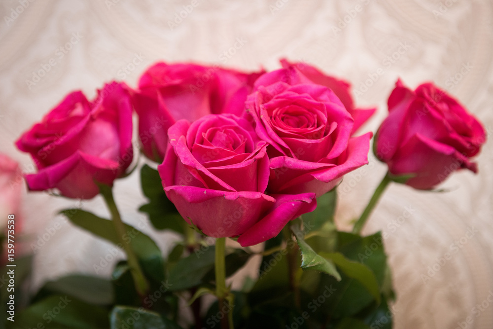 seven buds pink roses in the interior seven buds pink roses in the interior