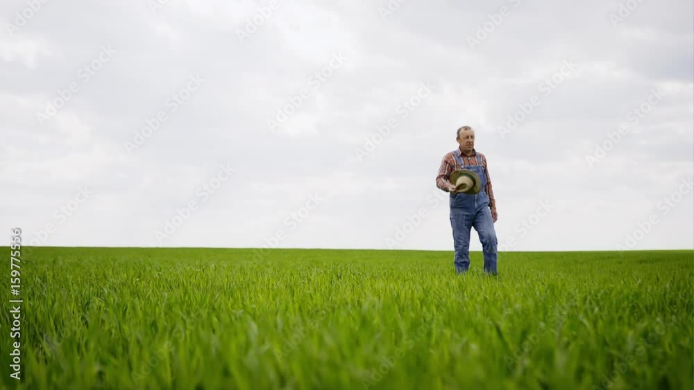 Senior farmer in a field looking into the distance. Senior farmer in a field looking into the distance.