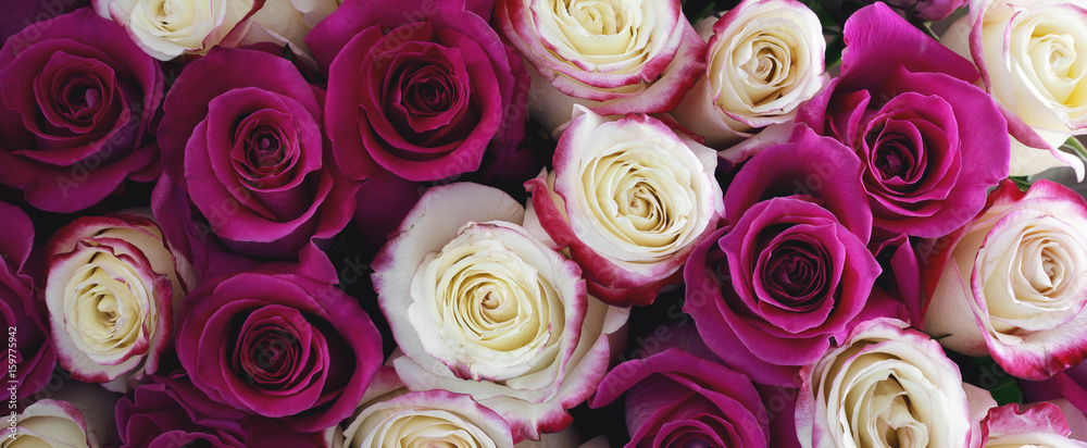 Bouquet of different roses. Panorama Bouquet of different roses. Panorama
