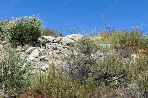 Chaparral and rocks in desert mountains