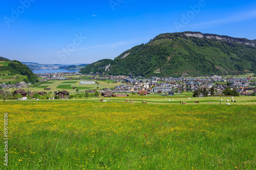 Springtime view from Mt. Stanserhorn in Switzerland