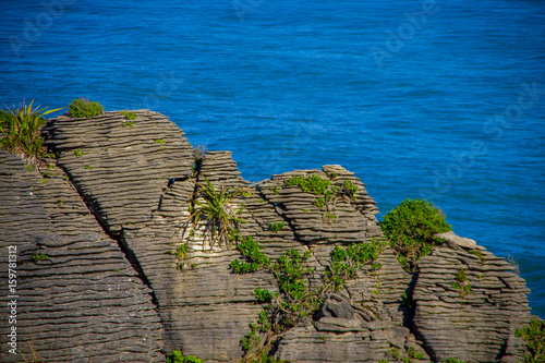 Beautiful view of pancake rocks in Punakaiki, South island, in New Zealand photo