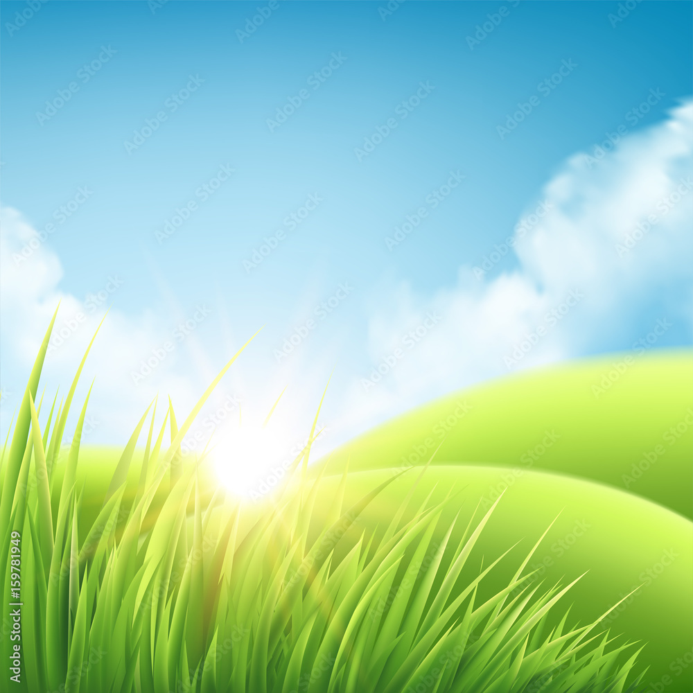 Obraz premium Summer nature sunrise background, a landscape with green hills and meadows, blue sky and clouds. Vector illustration