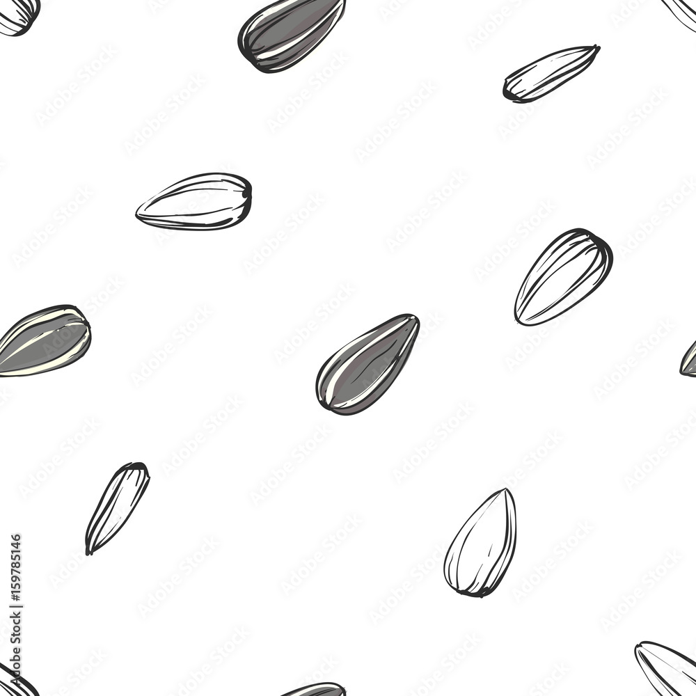 Hand drawn seamless pattern of a sunflower seeds. illustration on white background. sketch. vector eps 8