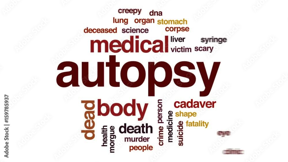 Autopsy animated word cloud, text design animation. Autopsy animated word cloud, text design animation.