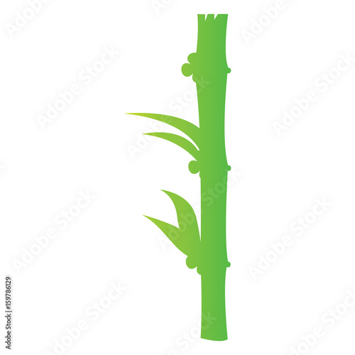 Isolated silhouette of a bamboo stick, Vector illustration