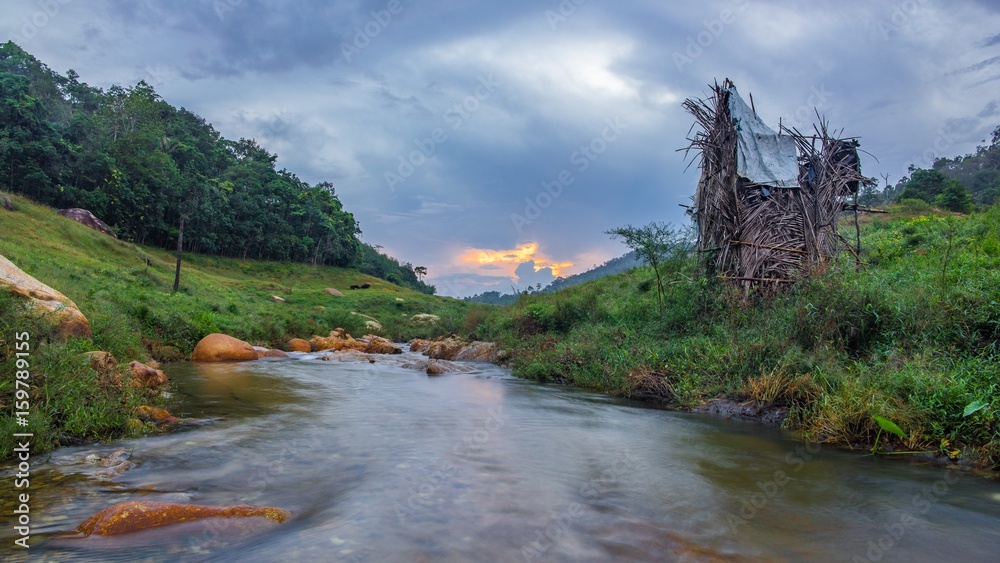 Fototapeta premium small river among the forest at beautiful sunrise