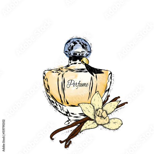 A beautiful perfume bottle and vanilla with orchid. Vector illustration for a rat or poster, print on clothes. Fashion & Style. Vintage