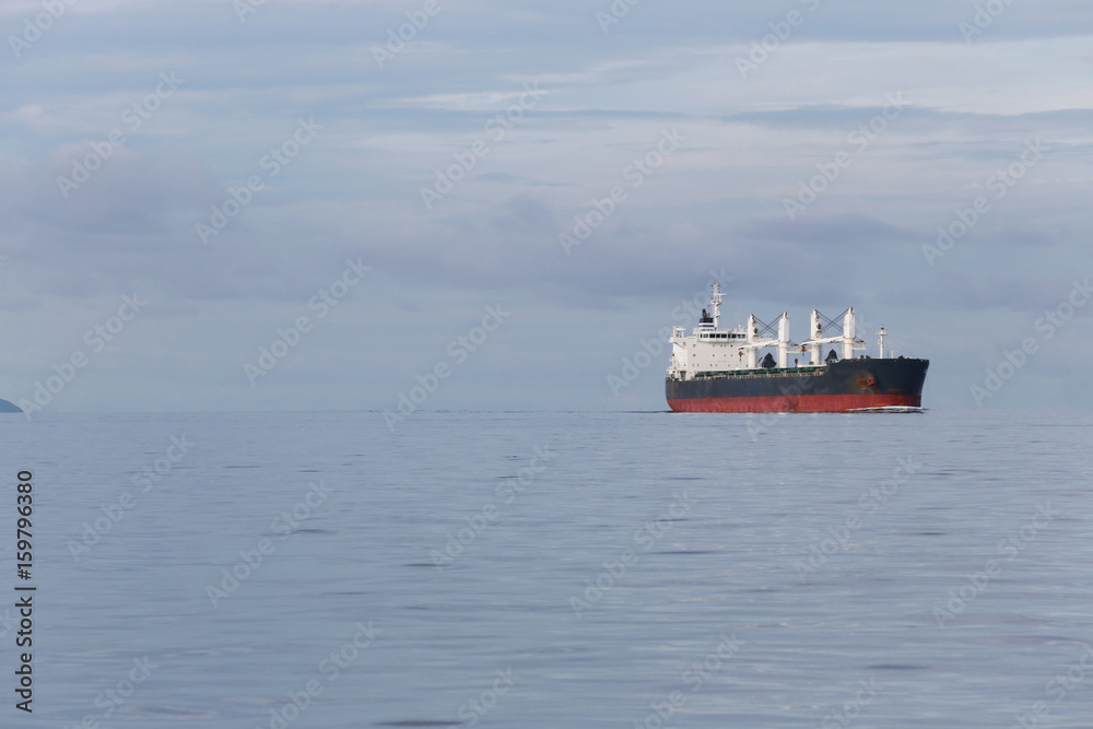 cargo ship in the sea.