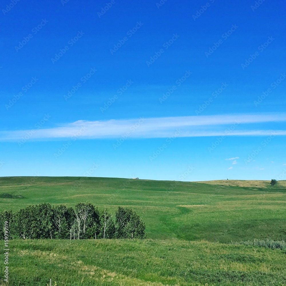 Landscape in Alberta with Effects