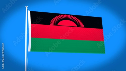 the national flag of Malawi
