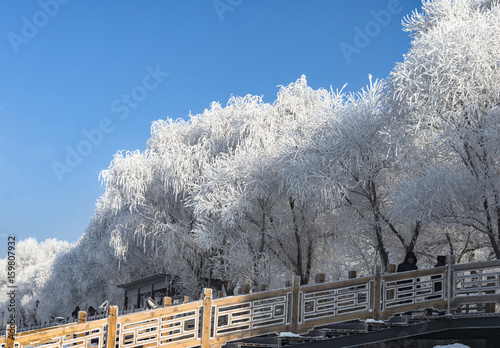 The impression of winter