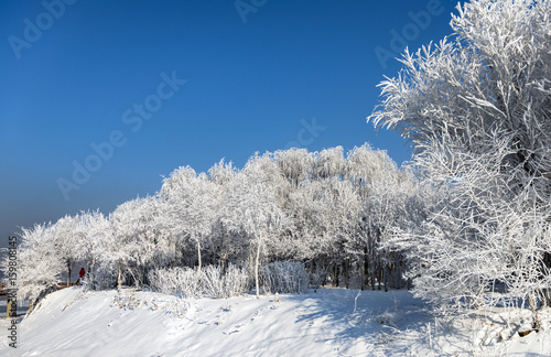 The impression of winter