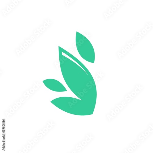 leaf logo