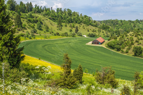 Blick auf die Felder vom Neckartalradweg photo