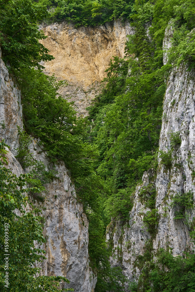 Deep canyon with forests