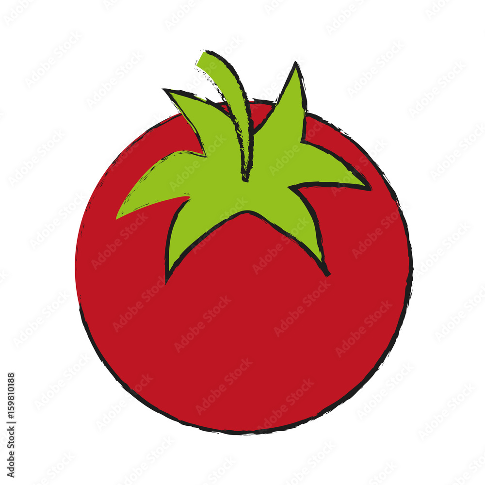 Refreshing vegetable tomato icon vector illustration design graphic draw Refreshing vegetable tomato icon vector illustration design graphic draw