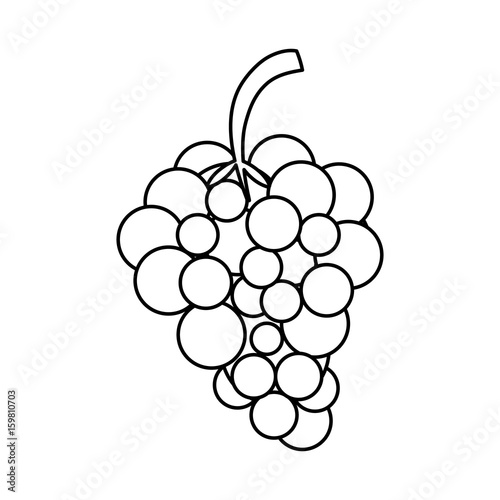 Sweet fruit grapes icon vector illustration design graphic silhouette 