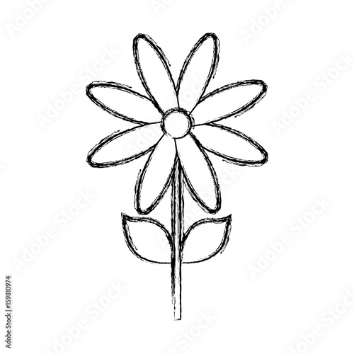 beautiful flower icon over white background vector illustration