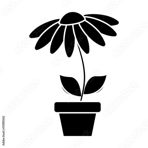 beautiful flower in a pot icon over white background vector illustration