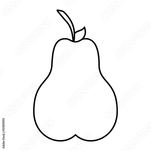 pear fruit icon over white background vector illustration