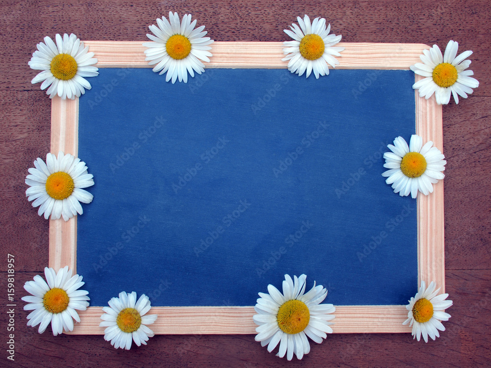 Schiefertafel mit Margeriten Schiefertafel mit Margeriten
