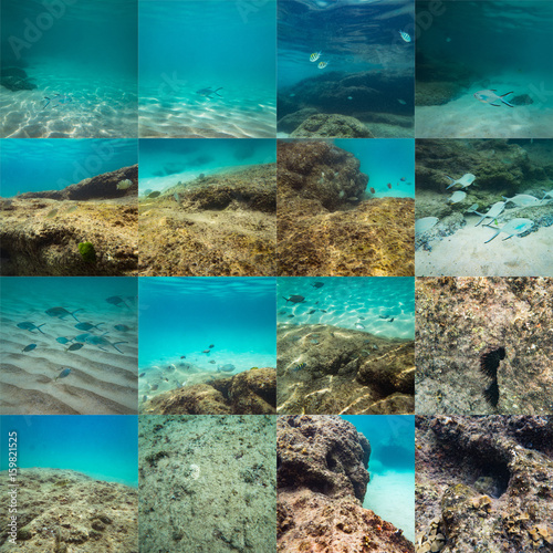 Fototapeta Naklejka Na Ścianę i Meble -  Collage of beautiful underwater sea, ocean landscape photos background