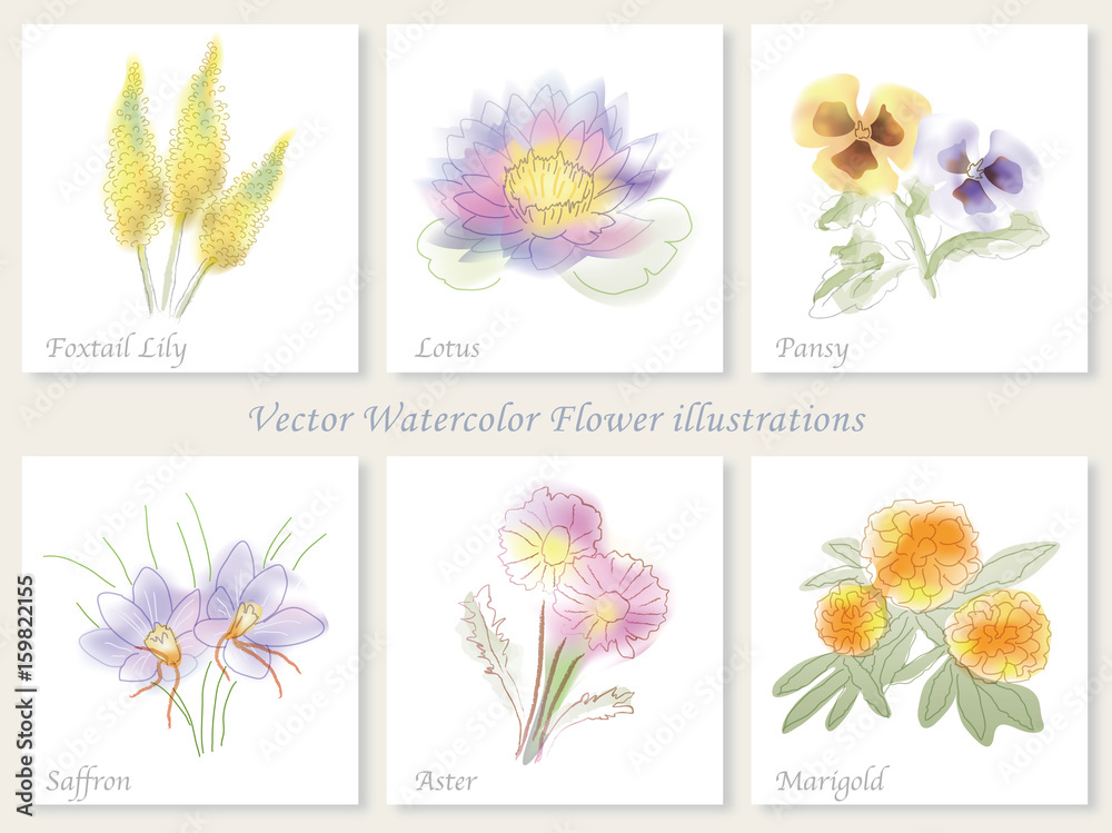 水彩風 ６種類の花イラストセット Stock Vector Adobe Stock