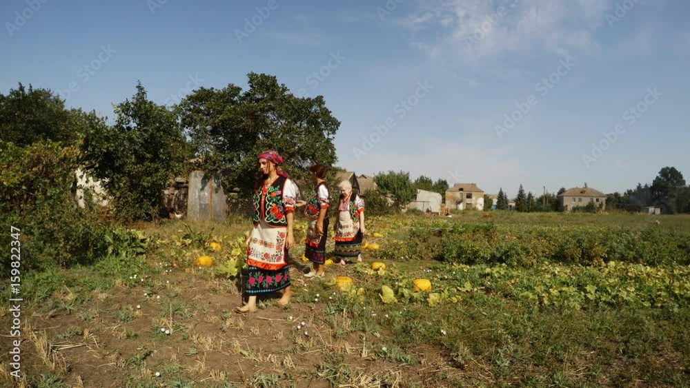 Three Generations of Ukrainian Women in Ethnic Costumes go in Vegetable Garden With Seedbed of Pumpkin Three Generations of Ukrainian Women in Ethnic Costumes go in Vegetable Garden With Seedbed of Pumpkin