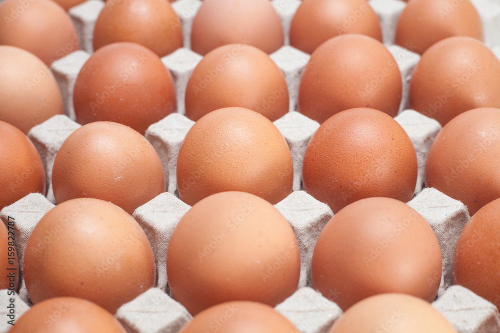 chicken eggs in a paper plate close up chicken eggs in a paper plate close up