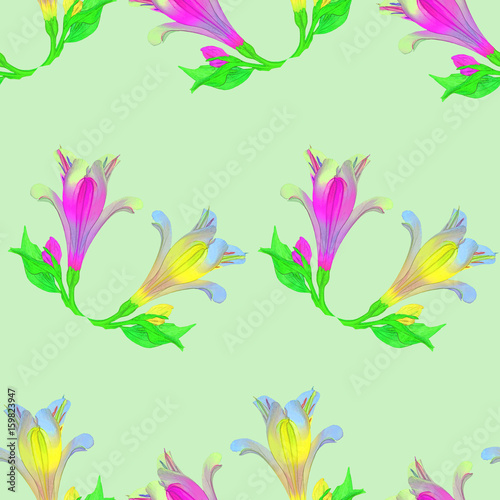 Alstroemeria. Seamless pattern texture of flowers. Floral background  photo collage