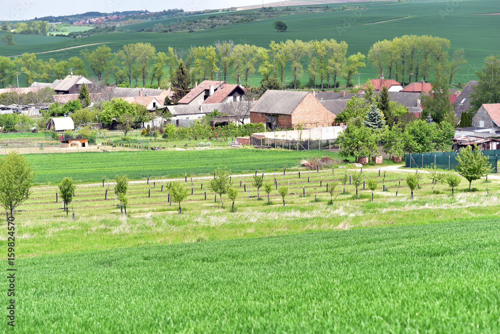 Village and farms in South Moravia, Czech Republic