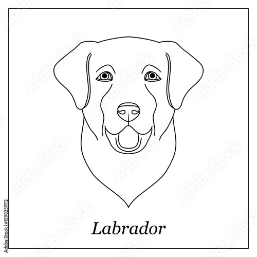 Isolated black outline head of happy labrador retriever on white background. Line cartoon breed dog portrait.