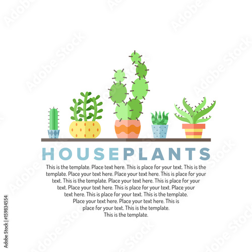 Succulents and cacti flat circle vector illustration. Part three.