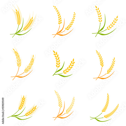 Ear spike logo badge icon wheat isolated vector.