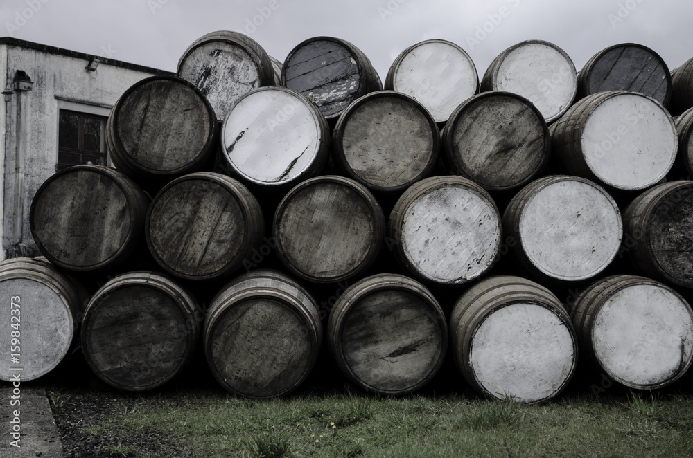 wooden barrels at the distiiery