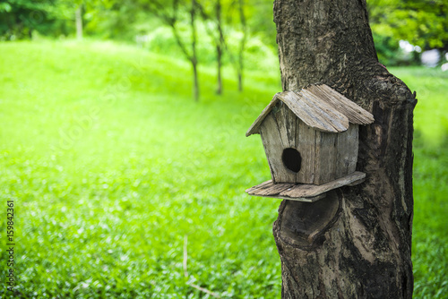 little bird house on a tree in the park
