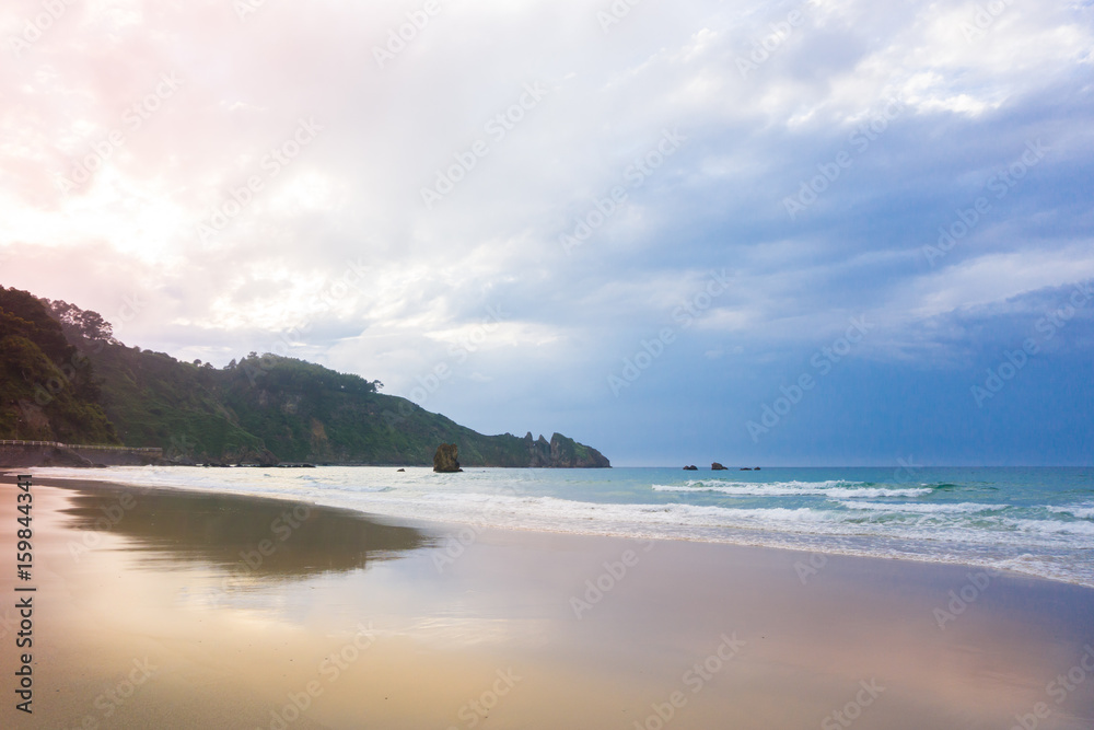 Fototapeta premium Amazing landscape with ocean, cliffs, beach, greens and flowers in summer day; wallpaper of the Bay of Biscay, Cantabrian Sea