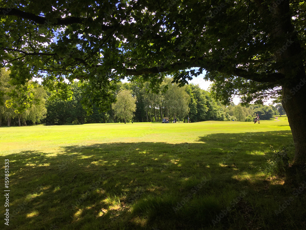 Fototapeta premium golfing!