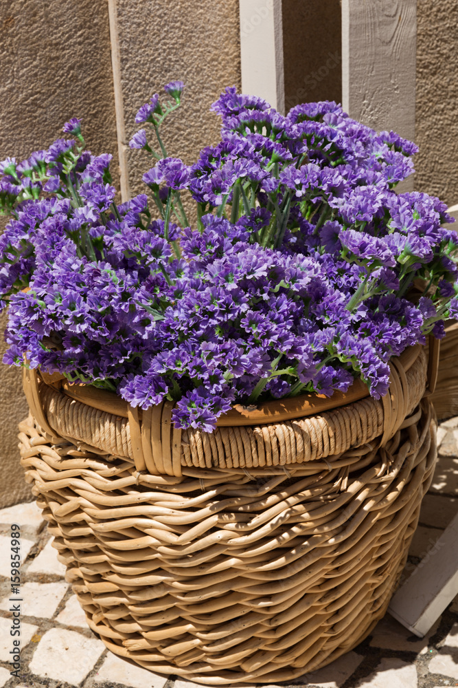 Flores moradas en macetero de mimbre.