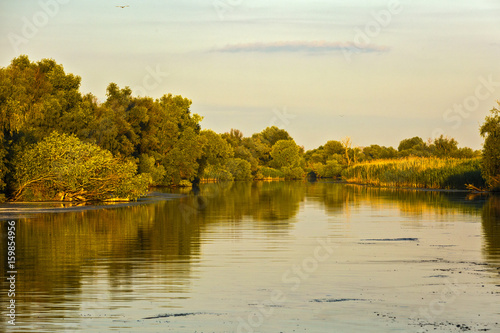 Landscape with water and vegetation in the Danube Delta, Romania