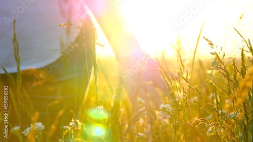 Young woman hand passing through a wild meadow field. Female hand touching wild flowers close-up