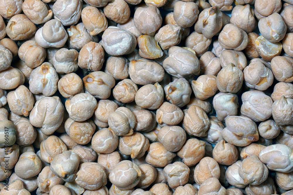 Chickpea seeds (Cicer arietinum) Chickpea seeds (Cicer arietinum)